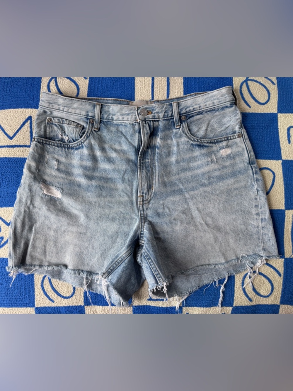 Everlane The Cheeky Short Light Indigo size 31